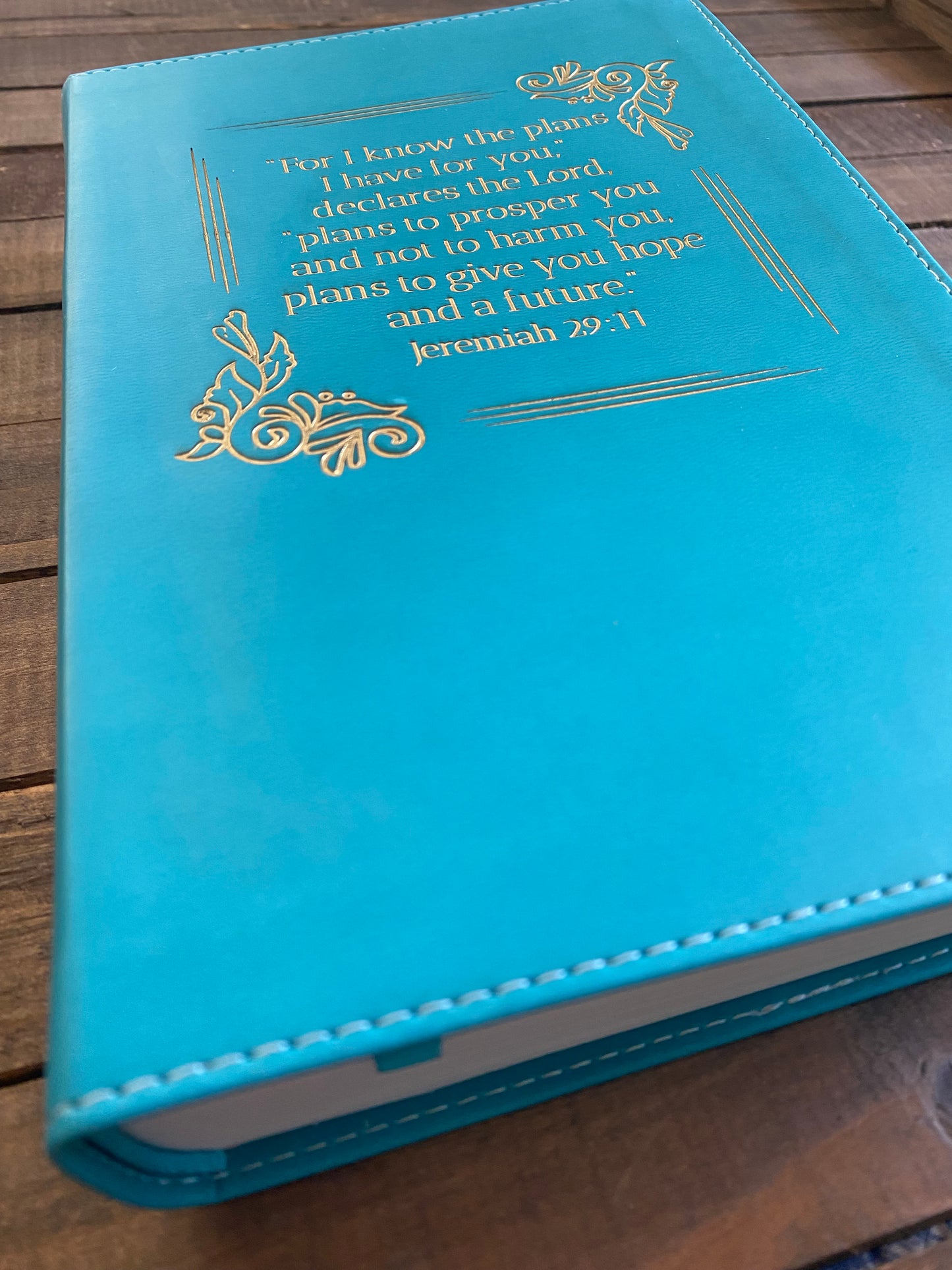 Jeremiah 29:11 Teal ESV Student Study Bible