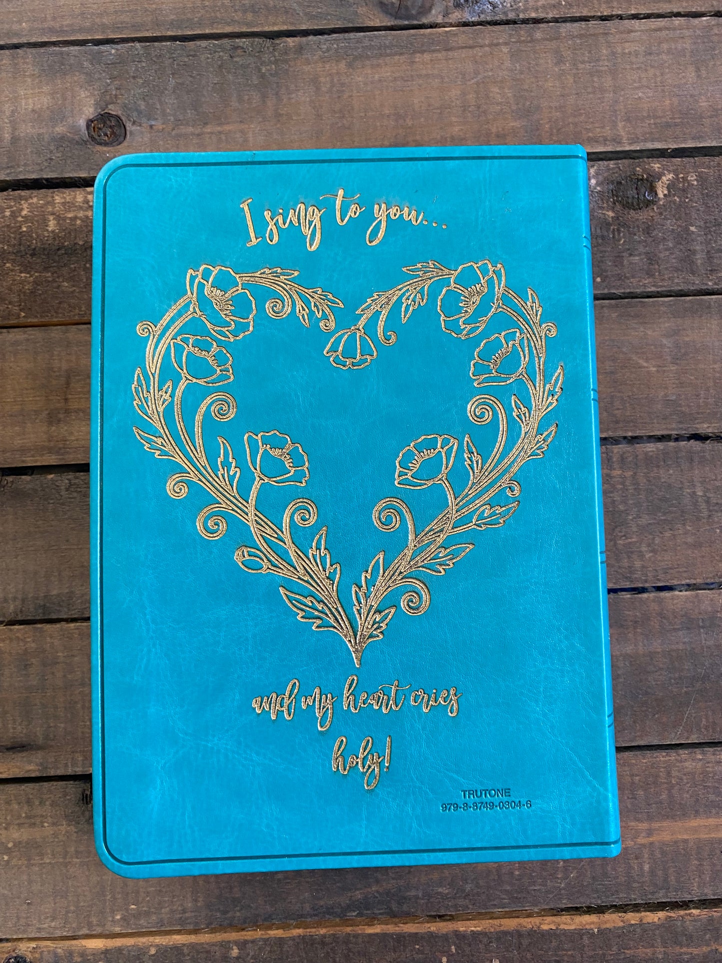 My heart cries holy- Teal ESV Compact Bible