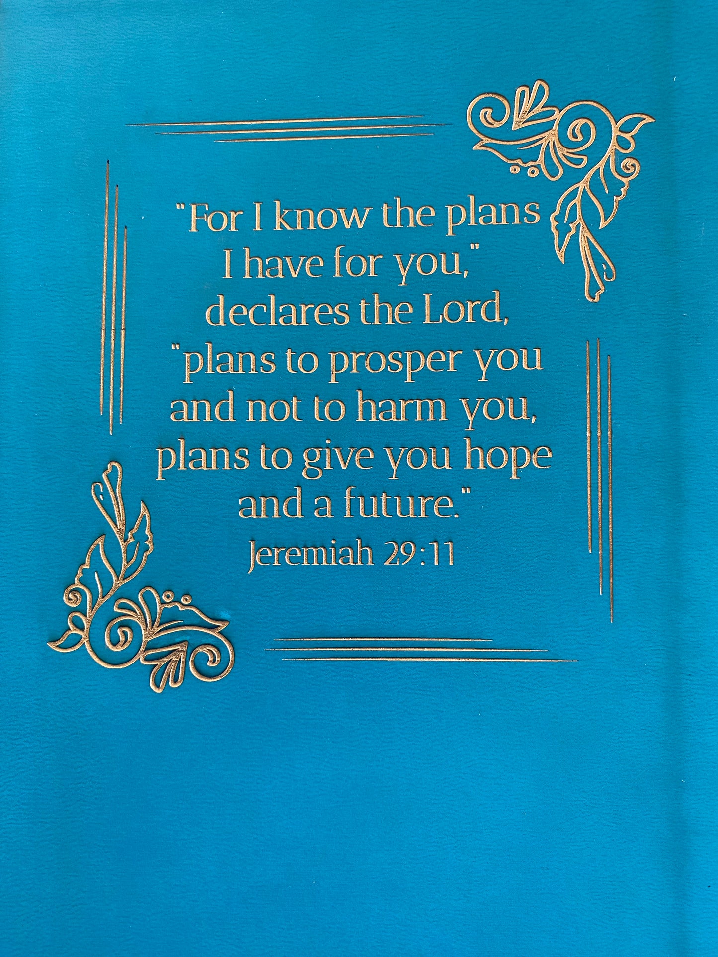 Jeremiah 29:11 Teal ESV Student Study Bible