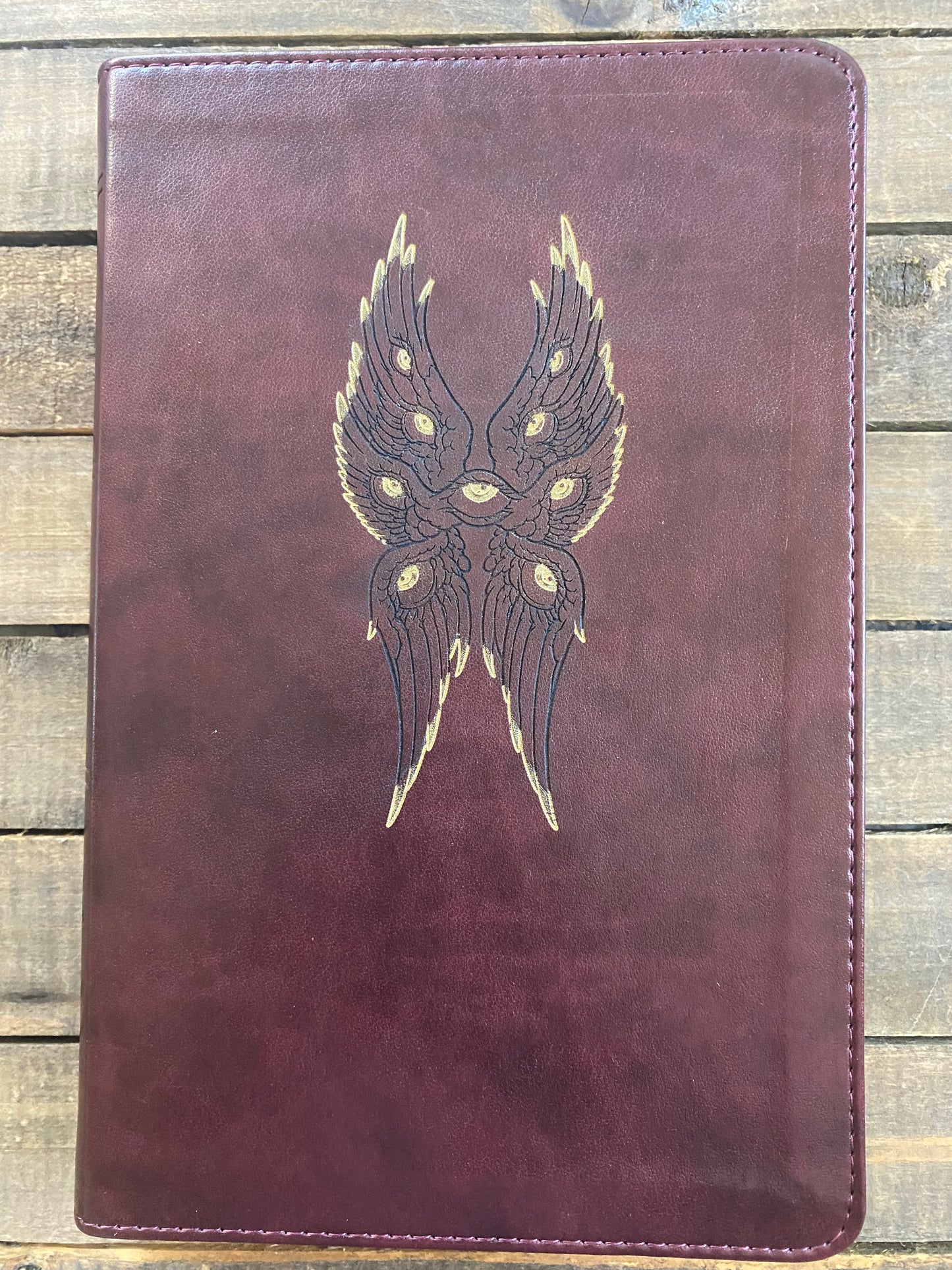 Biblically Accurate Angel -ESV Bible
