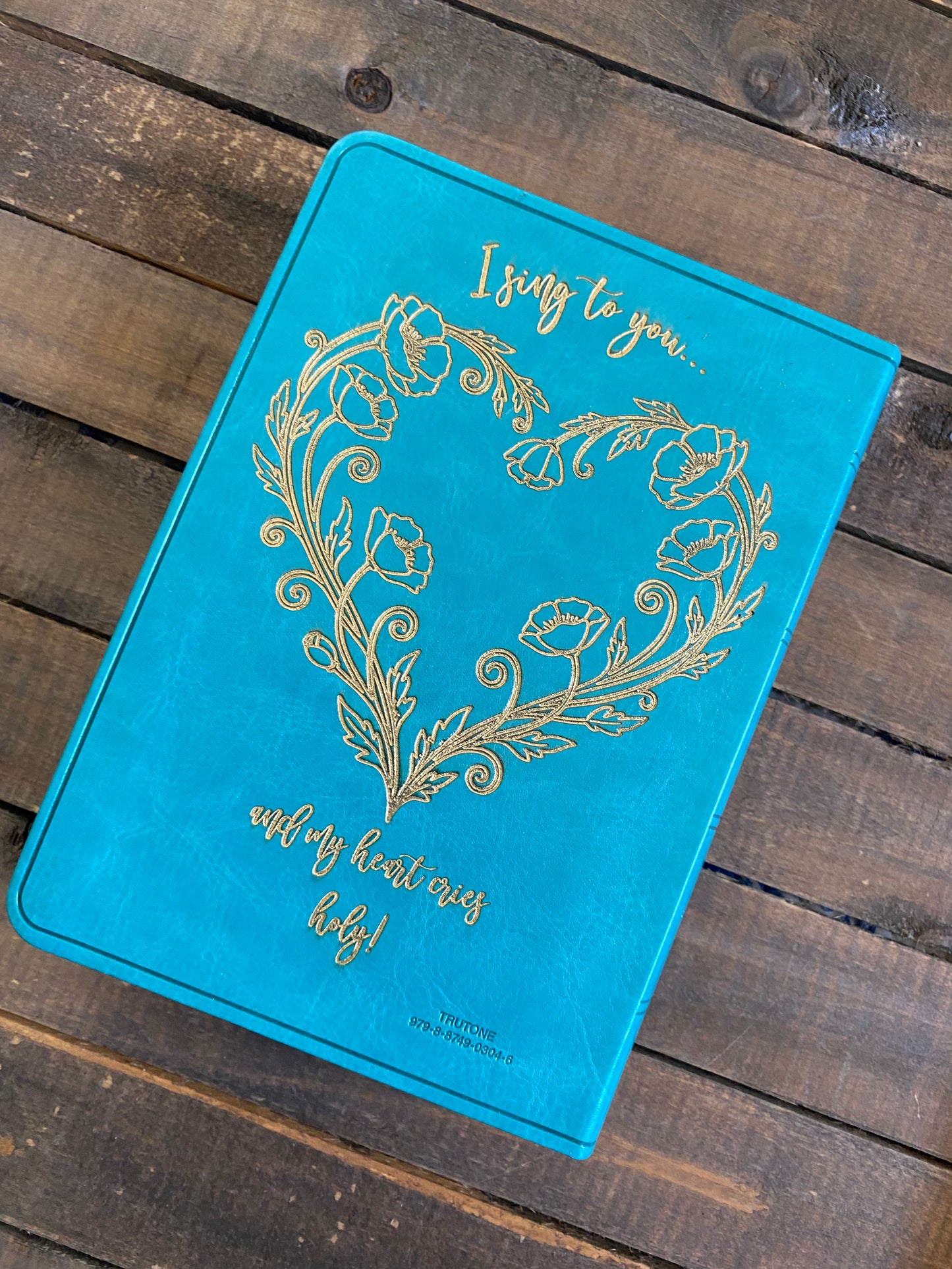 My heart cries holy- Teal ESV Compact Bible
