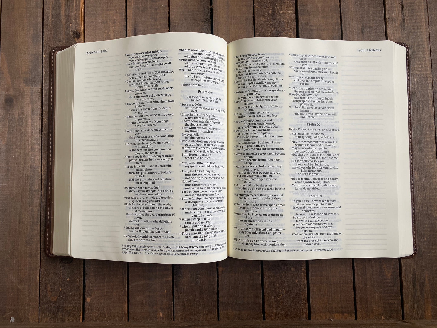 Lions Head - NIV Journaling Bible