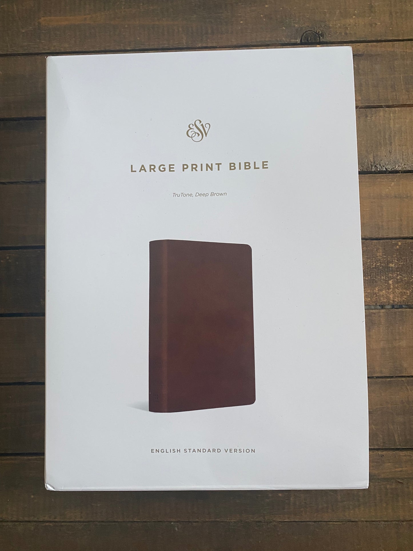 My help comes from the Lord - ESV Large Print Bible