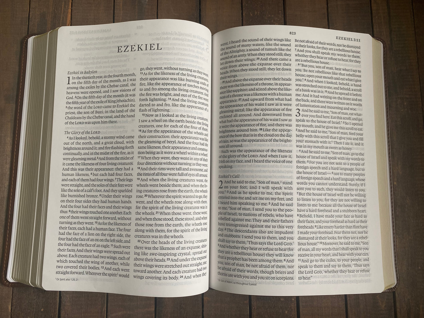 My help comes from the Lord - ESV Large Print Bible