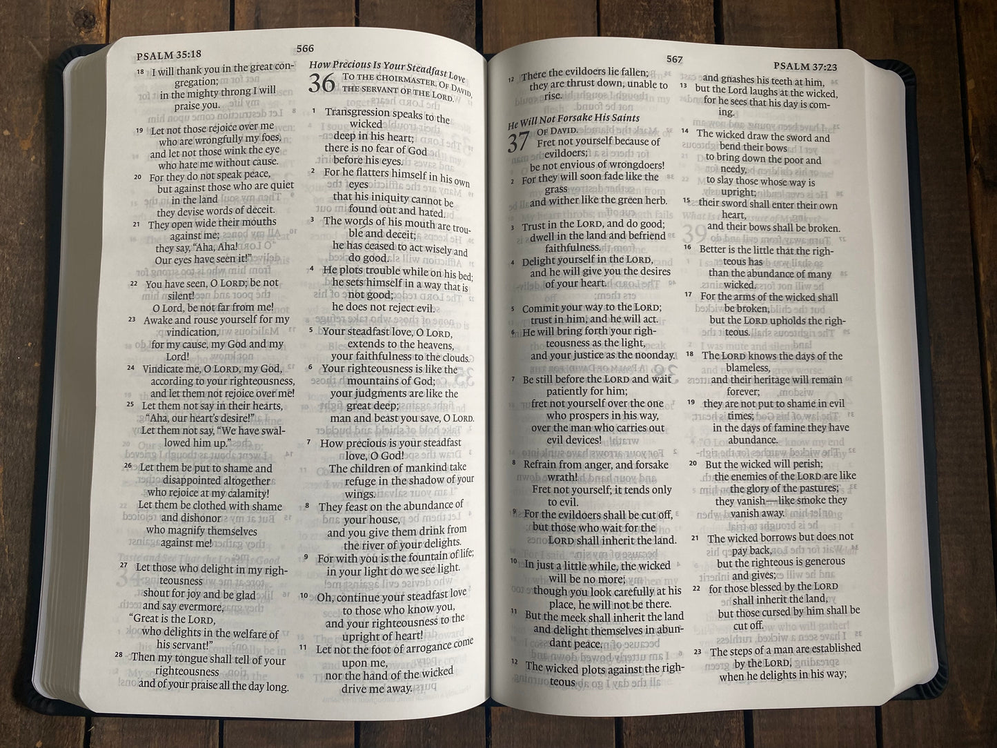 Trust in the Lord- ESV Bible