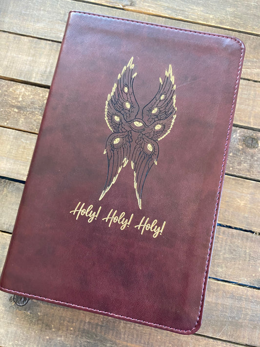 Biblically Accurate Angel